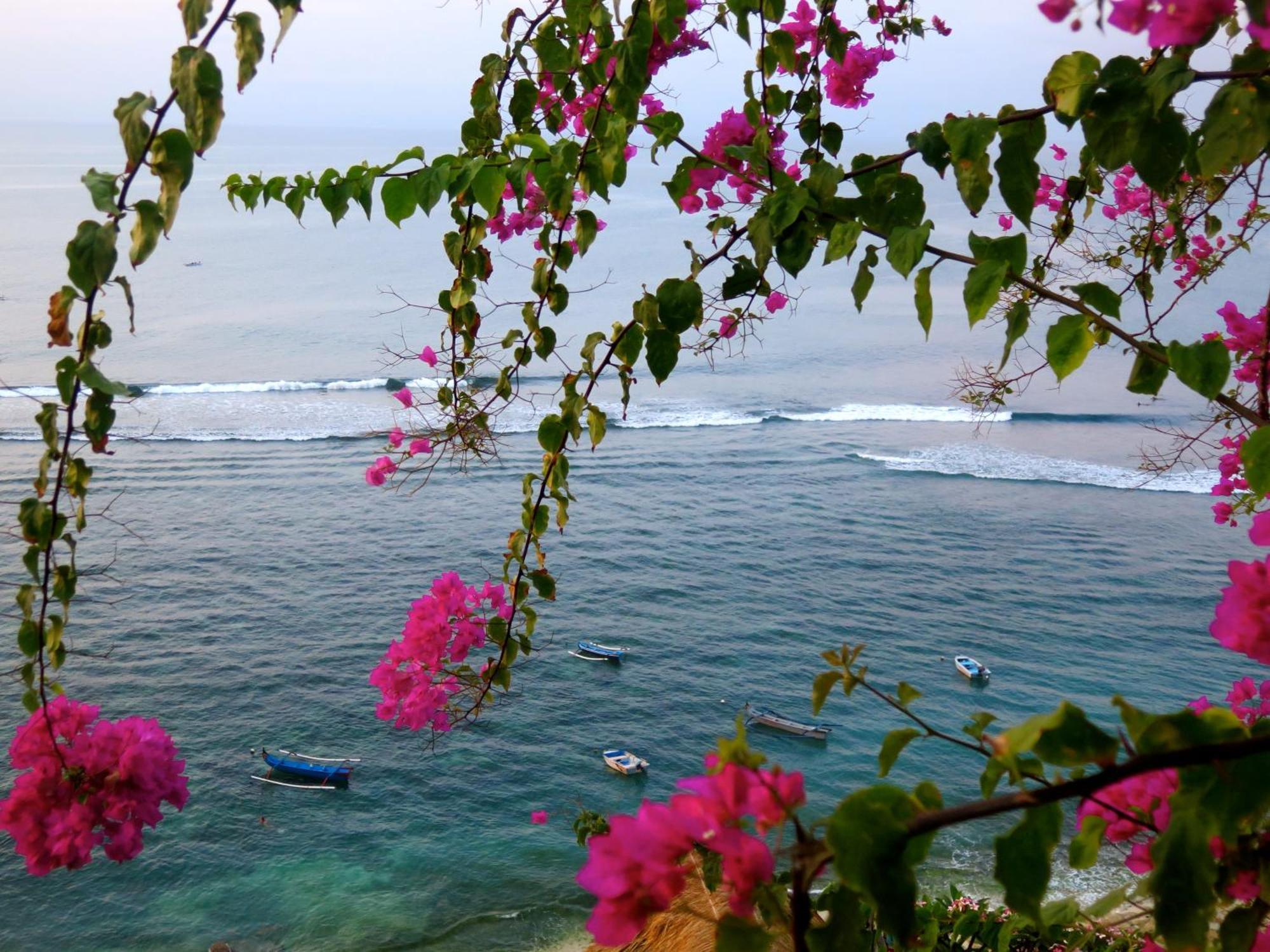 Acacia Bungalows Bingin Uluwatu Dış mekan fotoğraf